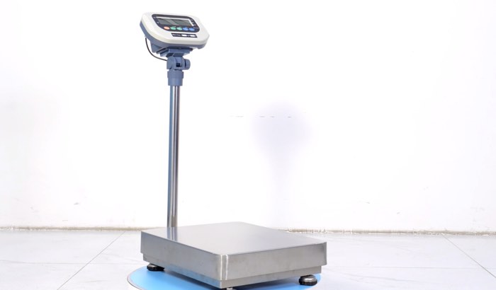 Shengfa weighing stainless steel waterproof platform scale